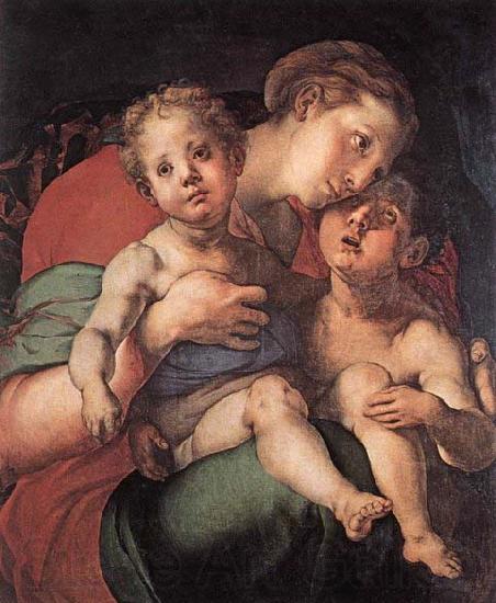 Jacopo Pontormo Madonna and Child with the Young St John Norge oil painting art
